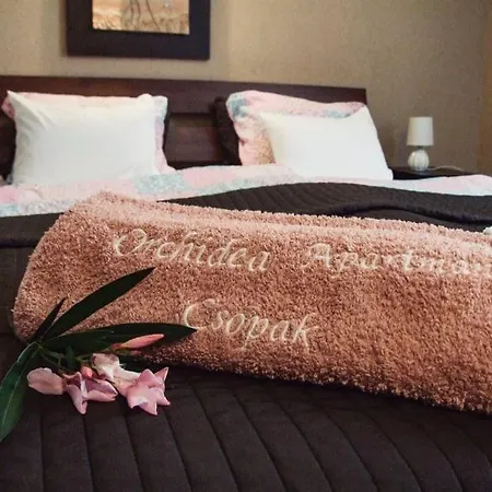 Orchidea Daire *