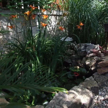 Orchidea Apartament *