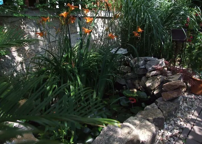 Orchidea Apartament *